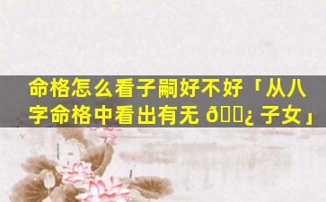 命格怎么看子嗣好不好「从八字命格中看出有无 🌿 子女」